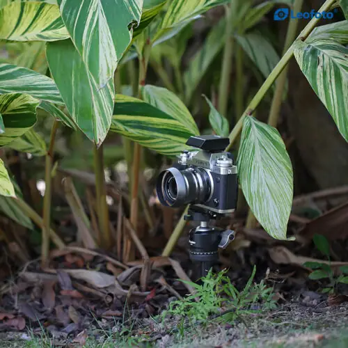 Leofoto A200+P50 8