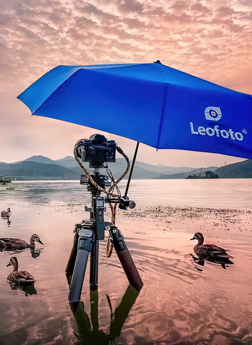 mmexport1576073541475-gigapixel-lines-height-1200px